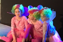 11-Fairies