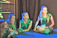12Elves